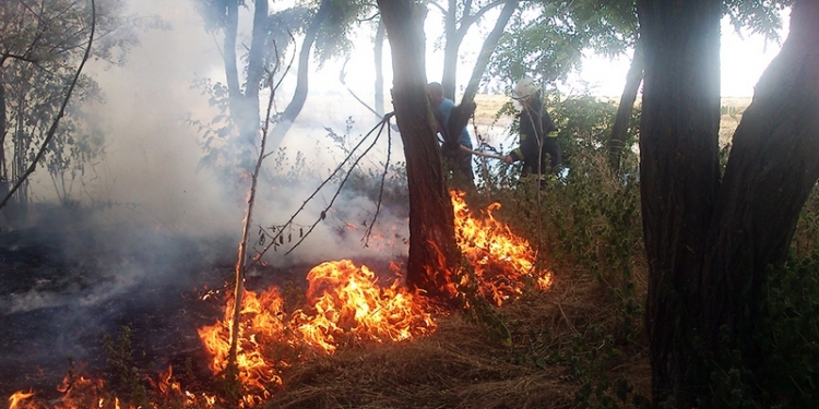 Горим: на Николаевщине тушат сухую траву, стерню и леса
