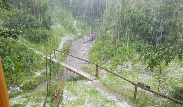 В Закарпатье выпал снег