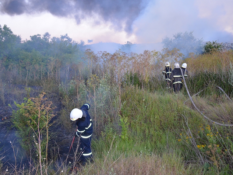 С начала года на территории Николаевской области произошло 720 пожаров на открытых территориях 9