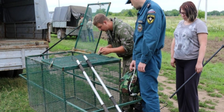 В РФ под Рязанью проводят спецоперацию – ищут обезьяну. Говорят, очень опасная