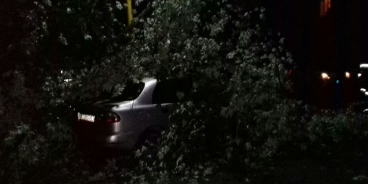 Ураган на Закарпатье оставил без электричества почти 40 населенных пунктов