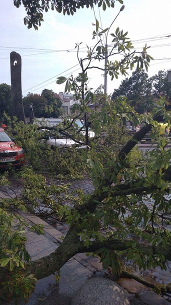 На Львов обрушился ураган. Пострадали дома, о жертвах пока неизвестно 11