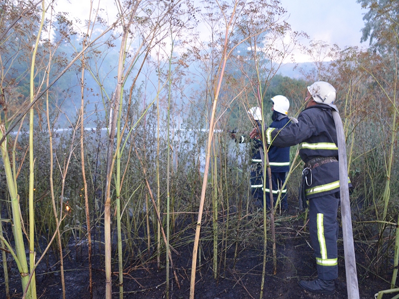 С начала года на территории Николаевской области произошло 720 пожаров на открытых территориях 11