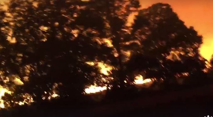 Масштабный пожар в районе Матвеевки. Зарево видно из Николаева