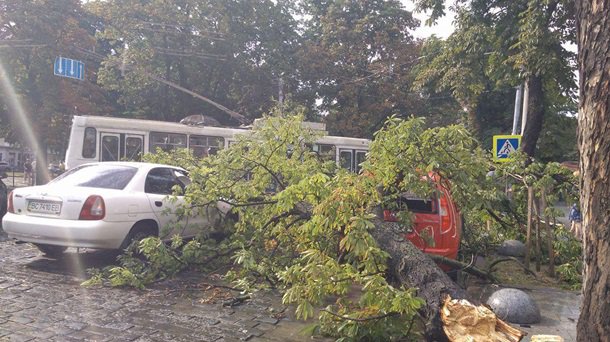 На Львов обрушился ураган. Пострадали дома, о жертвах пока неизвестно 15