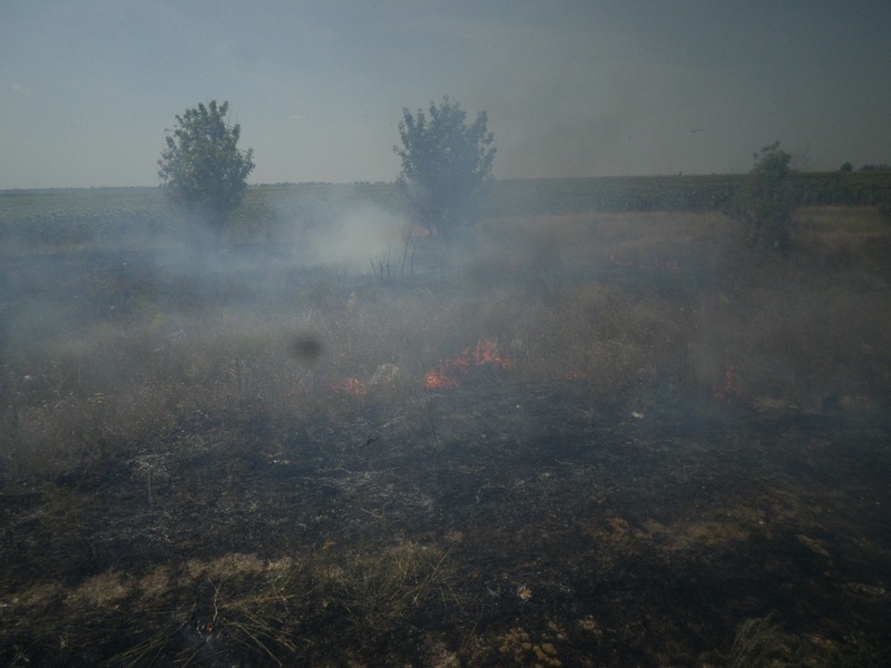 В Большой Коренихе вчера тушили сухую траву на площади в почти 5 га. И это не единственный пожар на Николаевщине в экосистеме 15