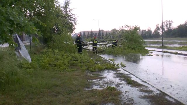 На Польшу обрушился ураган – повалены деревья, подтоплены дома