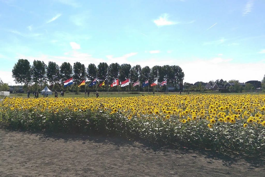 В Голландии открыли мемориал жертвам катастрофы рейса MH17 5