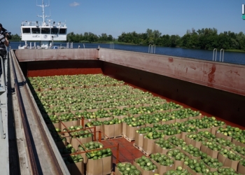 «Досить мріяти, час діяти». Первая партия херсонских арбузов отправилась в Киев по Днепру