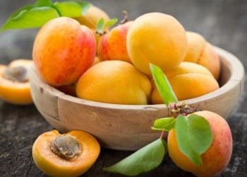 Кому нельзя есть абрикосы: предостережение диетологов