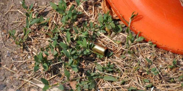 Без залога: николаевских налетчиков взяли под стражу на два месяца