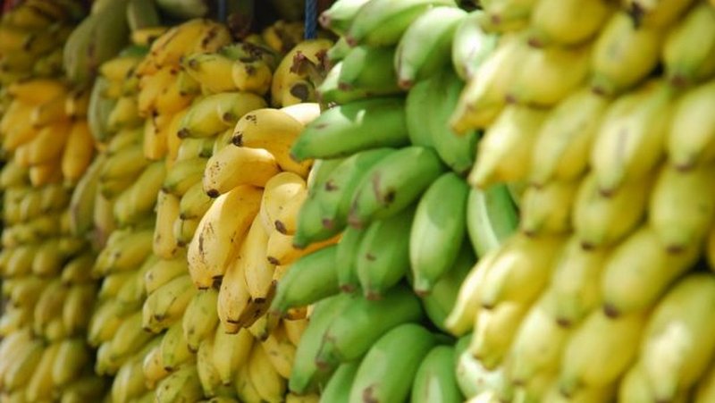 Сколько нужно съесть бананов, чтобы умереть от радиации 1