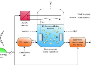 Финские ученые разработали способ производства продуктов питания из электричества