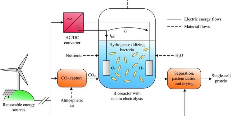 Финские ученые разработали способ производства продуктов питания из электричества