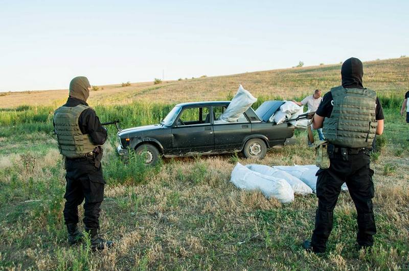 Плантацию конопли на 12 тысяч кустов на Николаевщине полиция уничтожала вместе с местными жителями 13