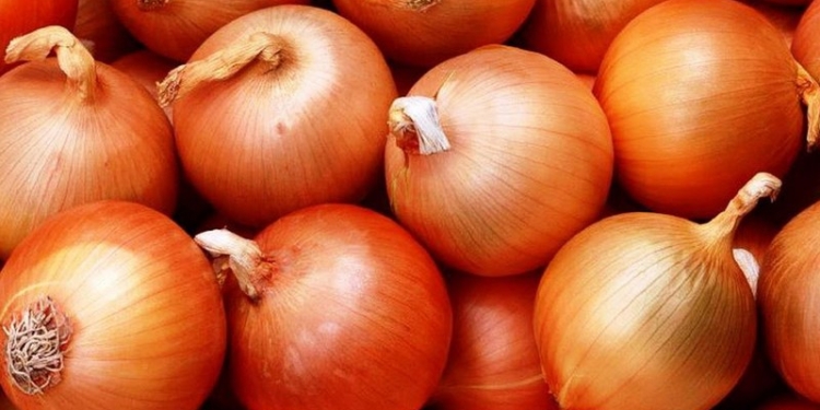 В Украине за год цены на лук выросли в три раза