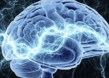 Эврика! Ученые выяснили, что происходит с мозгом в момент озарения