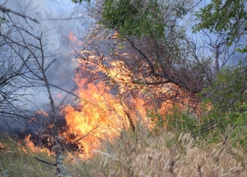 Стали известны причины ночного пожара под Николаевом, переполошившего горожан