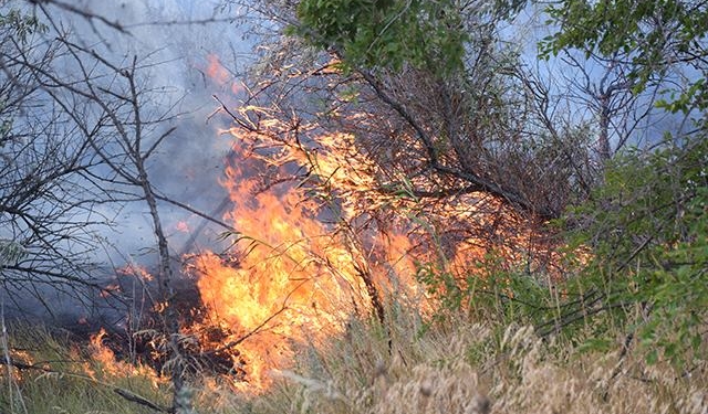 Стали известны причины ночного пожара под Николаевом, переполошившего горожан