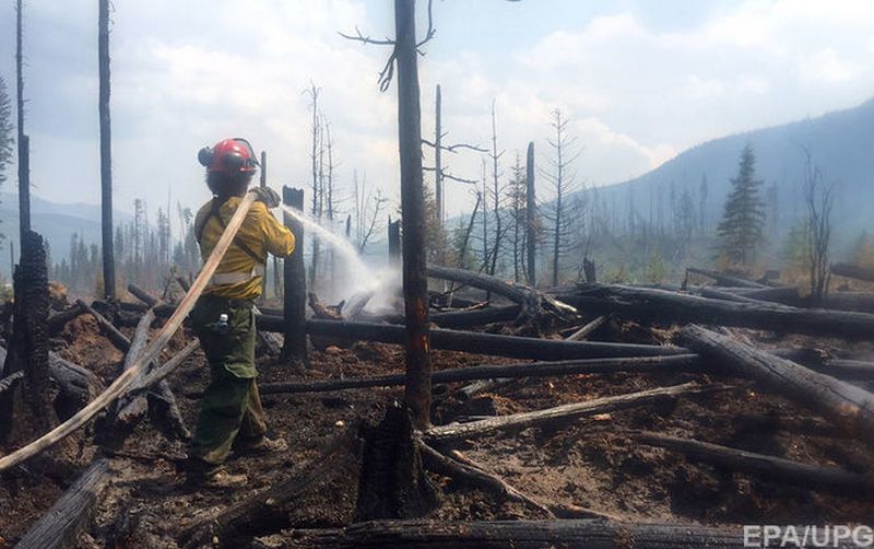 Власти Канады хотят привлечь армию к ликвидации масштабных лесных пожаров 1