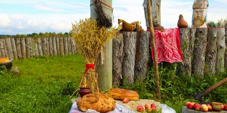 У родноверов-вегетарианцев на Житомирщине отобрали детей
