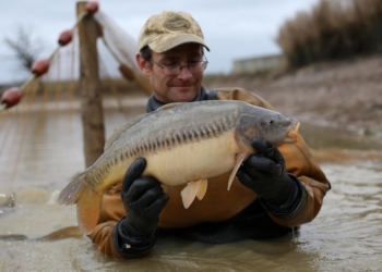 Канализационные стоки превращают самцов рыб в транссексуалов