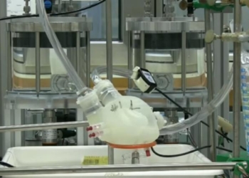 Ученые создали “мягкое” искусственное сердце на 3D-принтере, но выдерживает оно пока только 3 часа работы