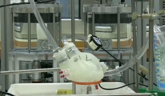 Ученые создали “мягкое” искусственное сердце на 3D-принтере, но выдерживает оно пока только 3 часа работы