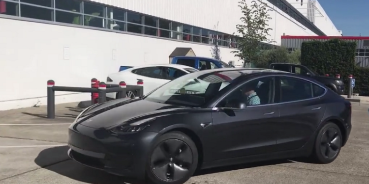 Tesla 3, живые фото и видео