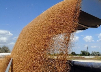 Государственная продовольственная зерновая корпорация Украины оказалась на грани дефолта