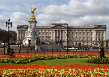 Опять нож, только теперь в Лондоне: мужчина напал на полицейских у королевской резиденции