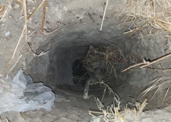 Чтобы попасть в США, мигранты прорыли из Мексики тоннель: 30 нелегалов задержаны, некоторым удалось убежать