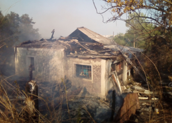 И снова горящая сухая трава: в Доманевском районе огонь перекинулся на крышу жилого дома