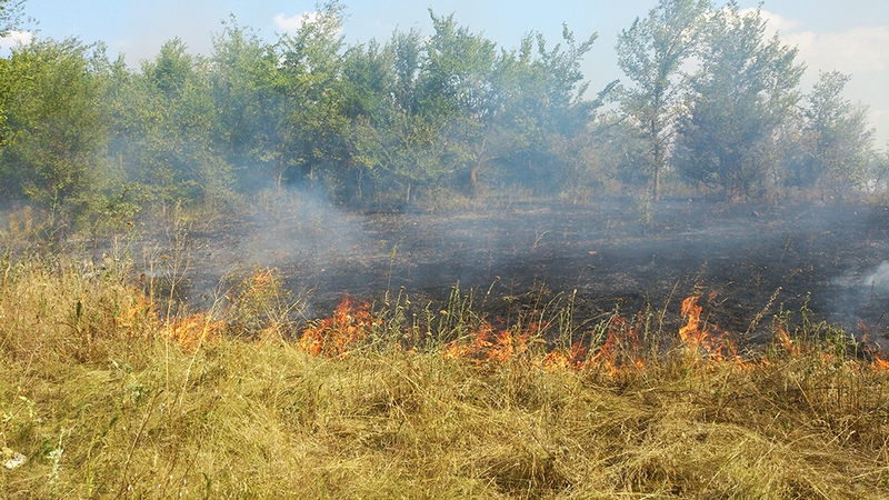 На Николаевщине за минувшие сутки зарегистрировано рекордное количество пожаров. В одном из случаев спасатели подозревают поджог 3