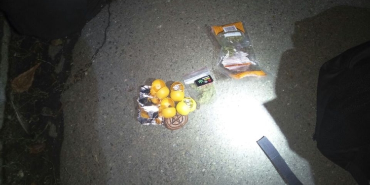 В Центральном районе Николаева патрульные задержали очередного «закладчика» – он закапывал экстази, «кристаллы» и коноплю