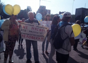 «Бездомные животные – не мусор!»: сессию Николаевского горсовета пикетируют защитники животных