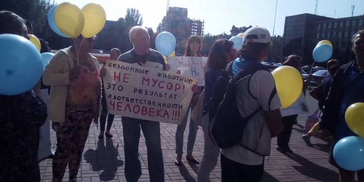 «Бездомные животные – не мусор!»: сессию Николаевского горсовета пикетируют защитники животных