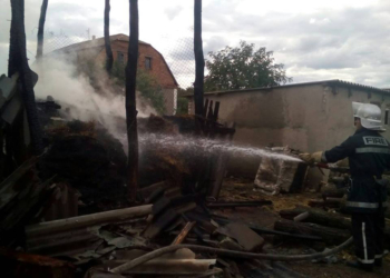 Жалко сена: в Арбузинском районе сгорела не только тонна корма для скота, а и 30 листов шифера