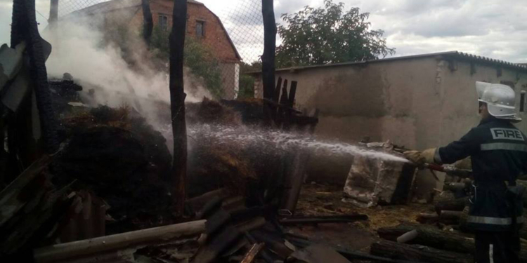 Жалко сена: в Арбузинском районе сгорела не только тонна корма для скота, а и 30 листов шифера