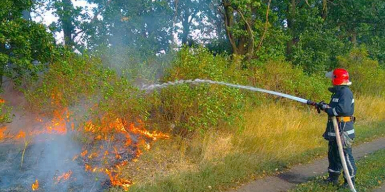 Горим, граждане! За вчерашний день на Николаевщине выгорело 72 га открытой территории
