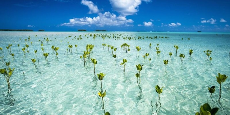 В ООН назвали самые непопулярные среди туристов страны