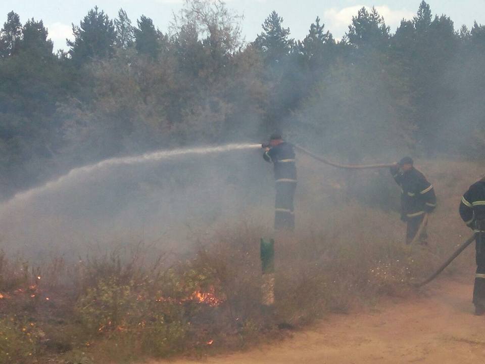 На Николаевщине горит Новопетровский лес – пожар, который мешает тушить ветер, охватил 50 га 5