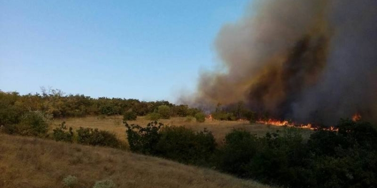 В Николаевской области горит лесное урочище: 15 га – по низу, 3 га – по верху