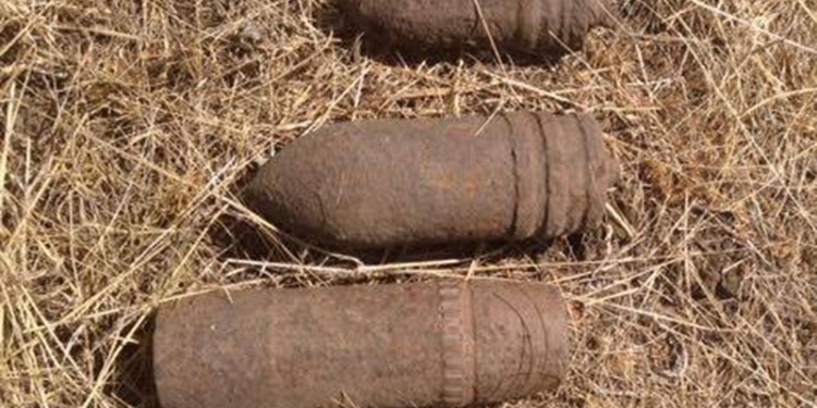 У Новополтавки мужчина наткнулся на артснаряд. Потом там нашли еще три