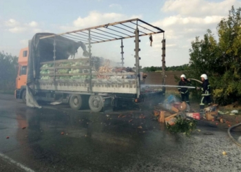 На трассе под Николаевом загорелась фура с овощами