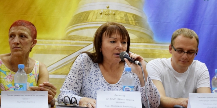 Подсчет бездомных животных в Николаеве: зоозащитники говорят, что собак стало меньше, горожане не доверяют результатам подсчета