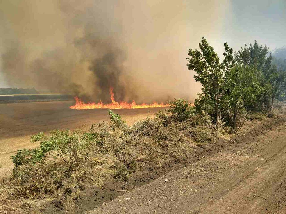 Пожар в Витовском районе Николаевской области локализован - спасатели 2