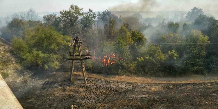 Пожар в Витовском районе Николаевской области локализован – спасатели