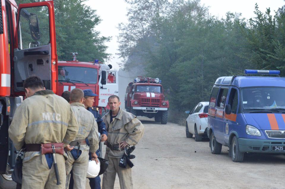 Посипаки подожгли. Николаевский губернатор уверен: лес в Новоодесском районе подожгли умышленно 7