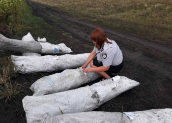 Во Врадиевском районе сами выросли почти 2 тыс. кустов конопли